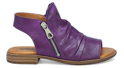 Dylan Purple