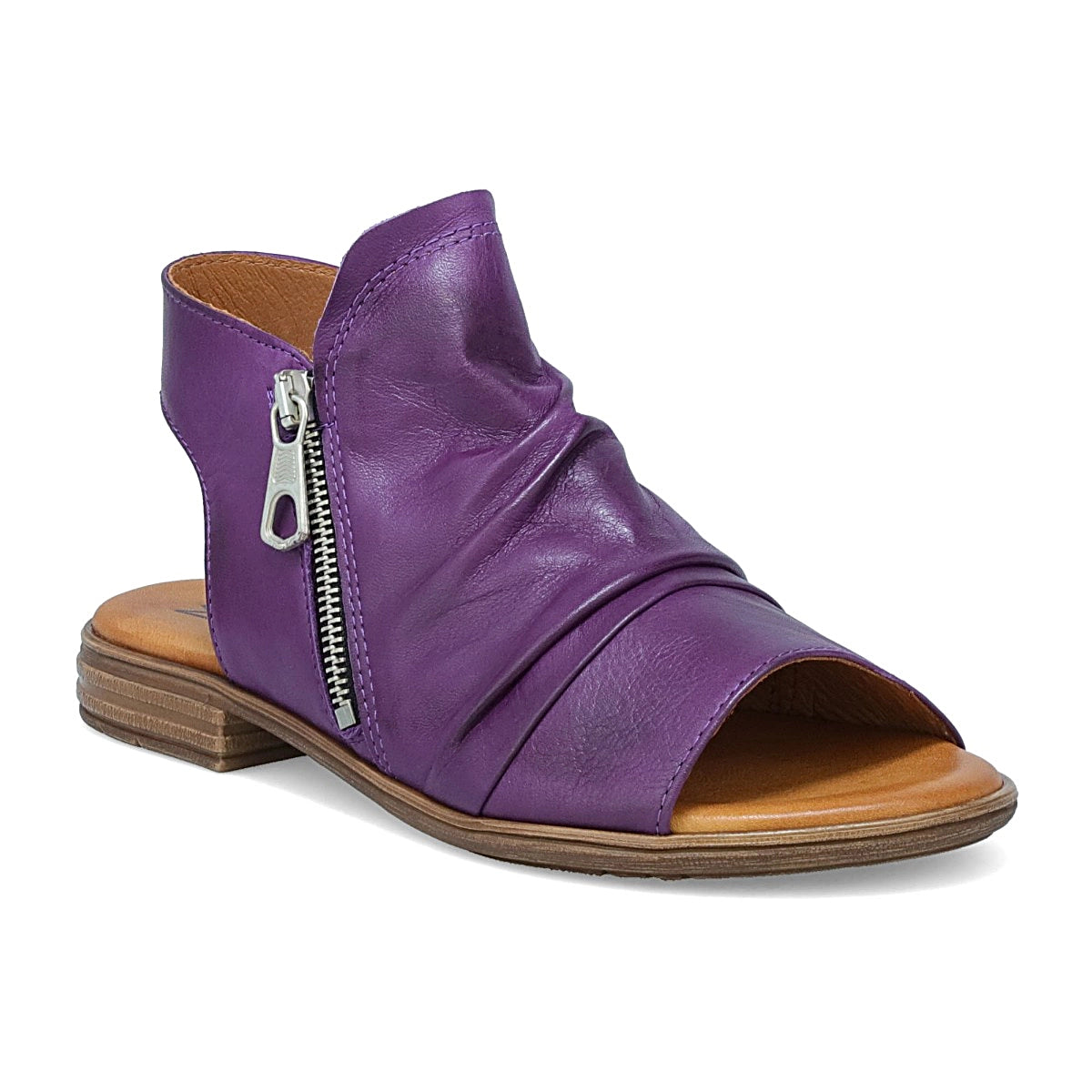 Dylan Purple