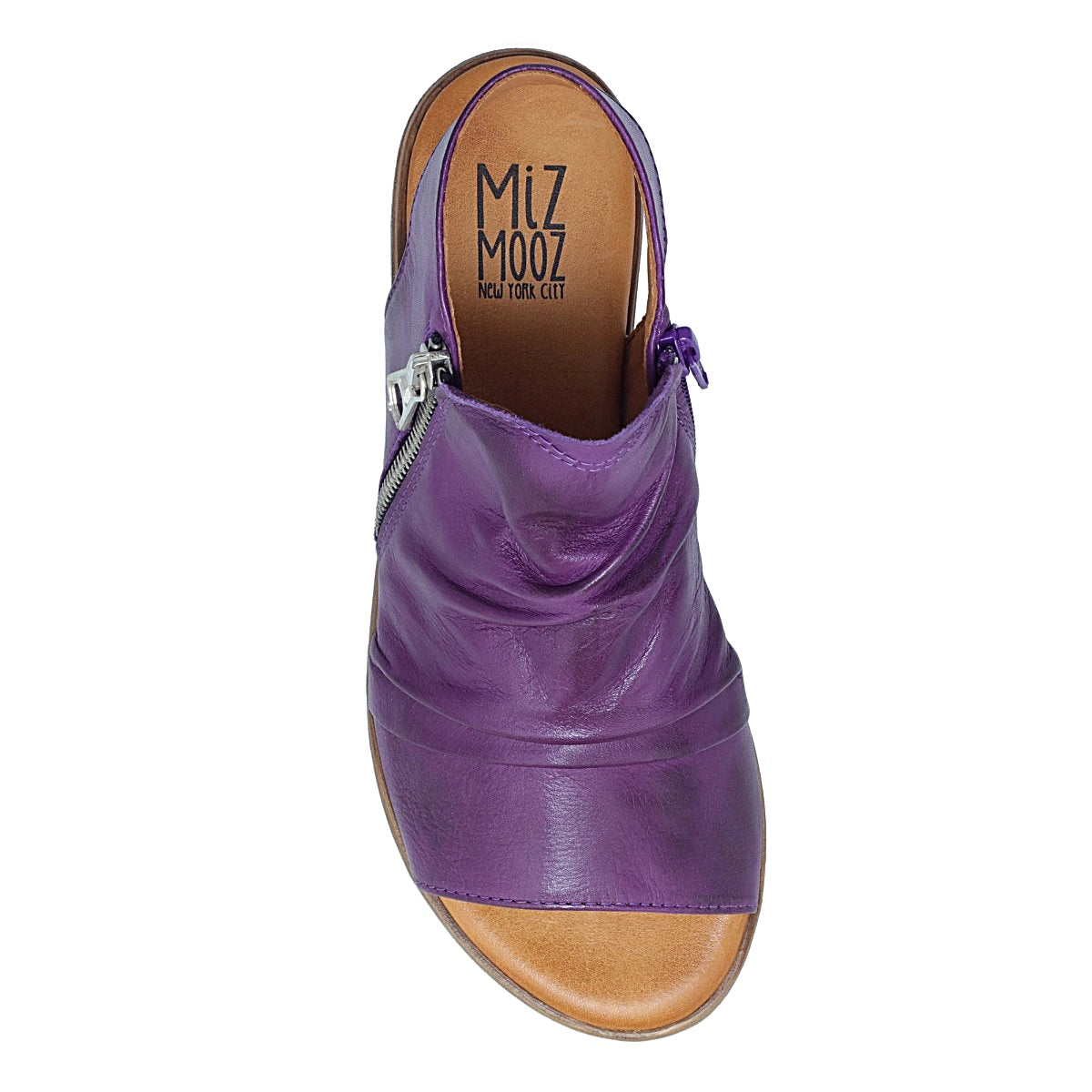 Dylan Purple